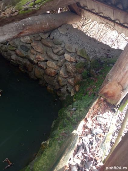 Teren de 2500 mp, în Beriu