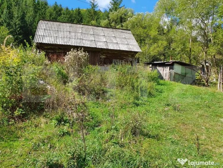 Teren de 3015 mp, în Arieșeni