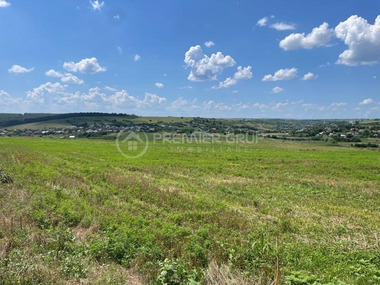Teren extravilan de 4500 mp, în Miroslava