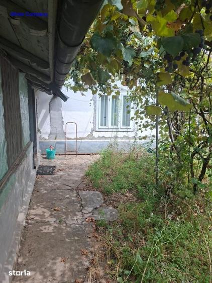 Casa 2 cam si dependinte in Jud Ialomita Grabovi - 8
