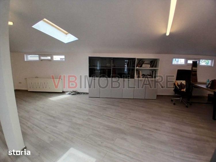 Loft spatios la Cismigiu - 5