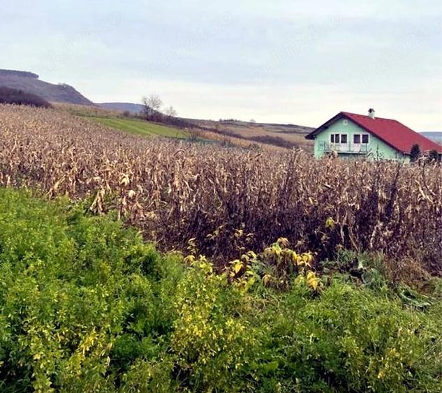 Teren de 1000 mp, în Saschiz