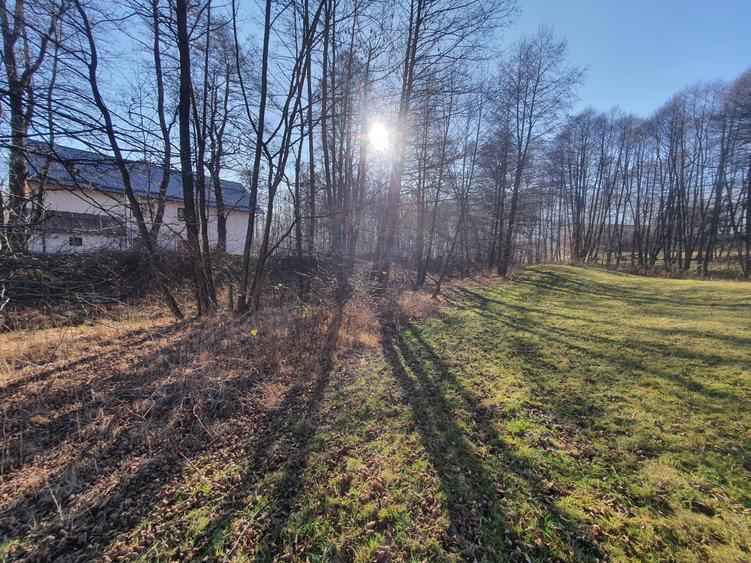 Teren Construcții intravilan de 2300 mp, în Bran