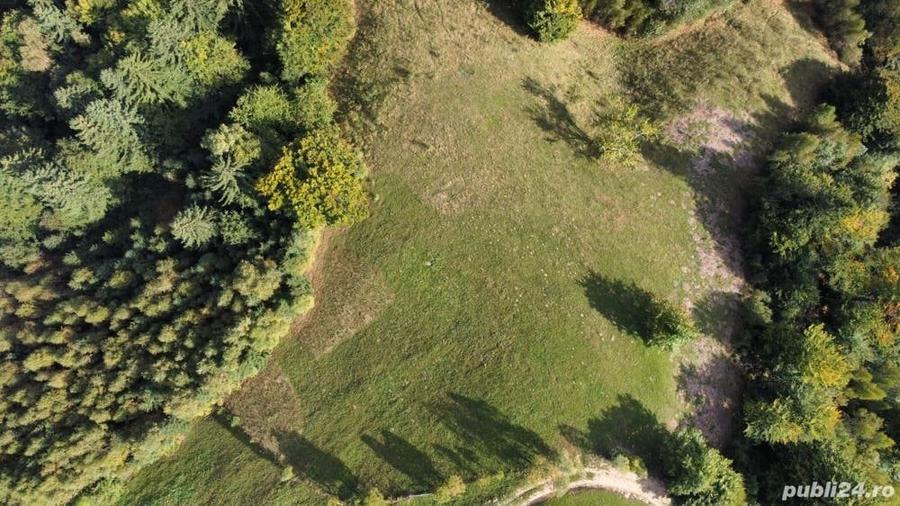 Teren de 7200 mp, în Peștera