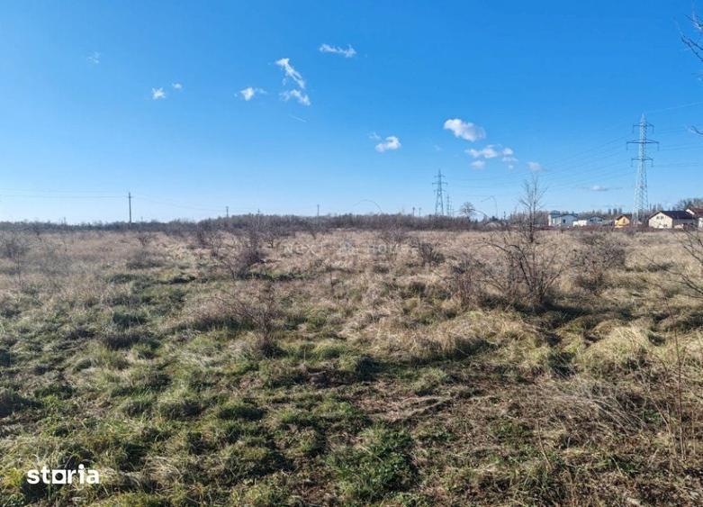 Teren de 6740 mp, în Dragomirești-Vale