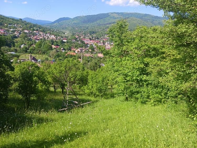 Teren de 1000 mp, în Valea Doftanei