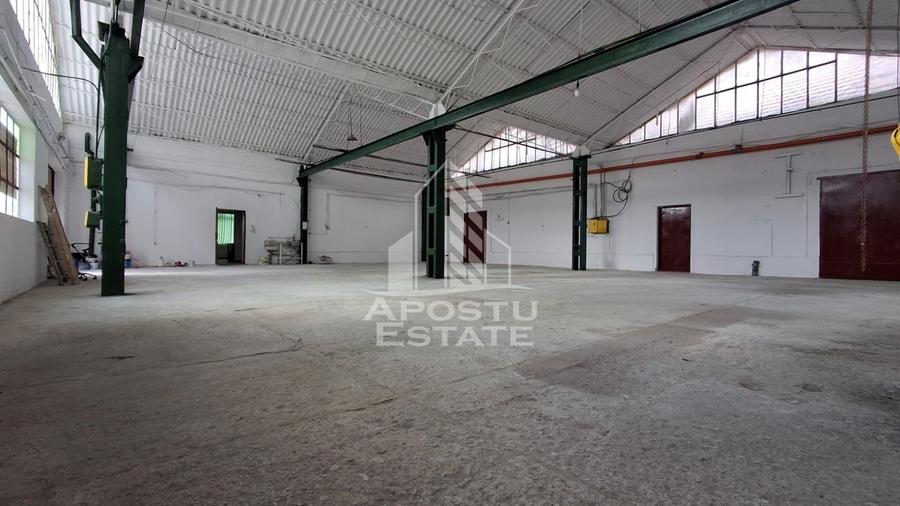 Spațiu industrial, de 400 mp, în Sânnicolau Mic