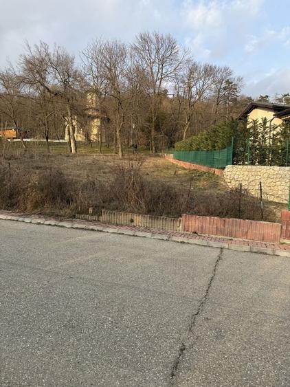 Spațiu comercial, în Ștefănești