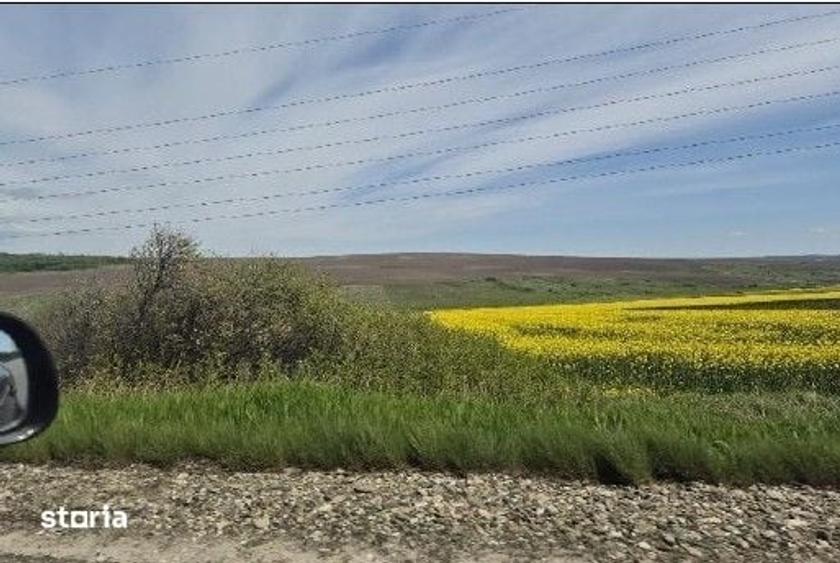 Teren de 15900 mp, în Probota