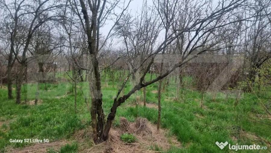 TEREN zona aer curat CASA si ANEXA - 13