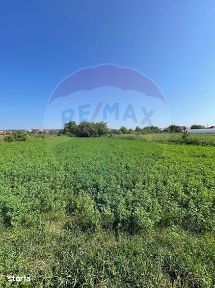 Teren de 1270 mp, în Central