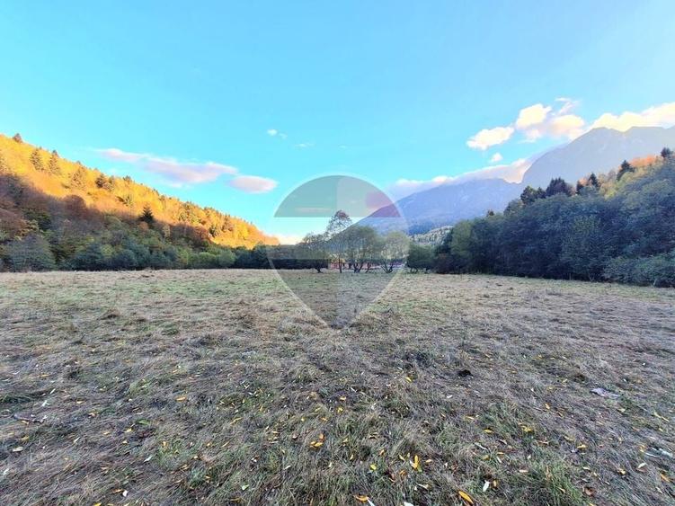 Teren agricol extravilan de 3981 mp, în Plaiul Foii