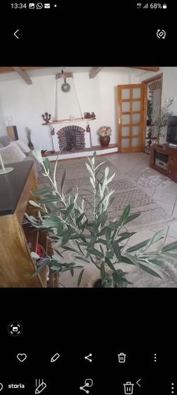 Apartament cu 4 camere decomandat în Est