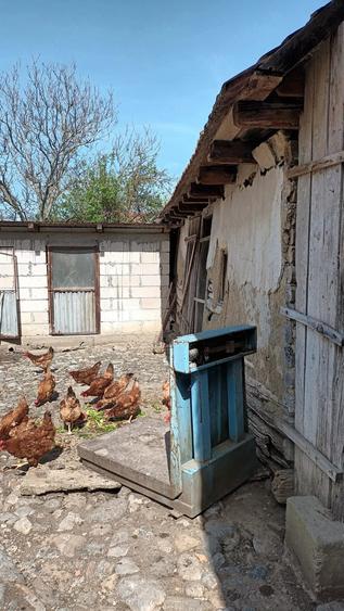 Casă cu Teren 200 Mp în Central