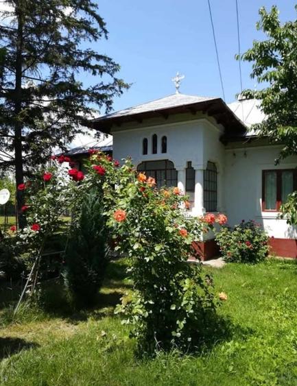 Casa Traditionala Romaneasca Suseni Arges - 5