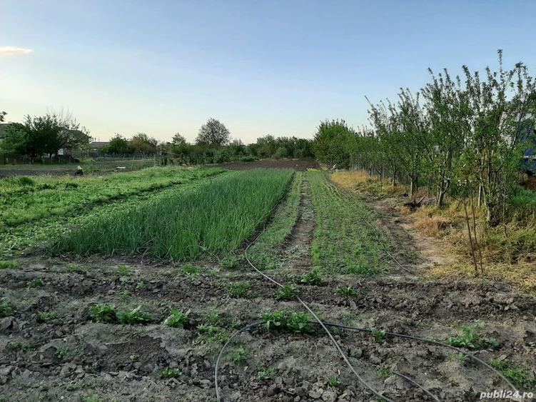 Teren de 4000 mp, în Măgureni