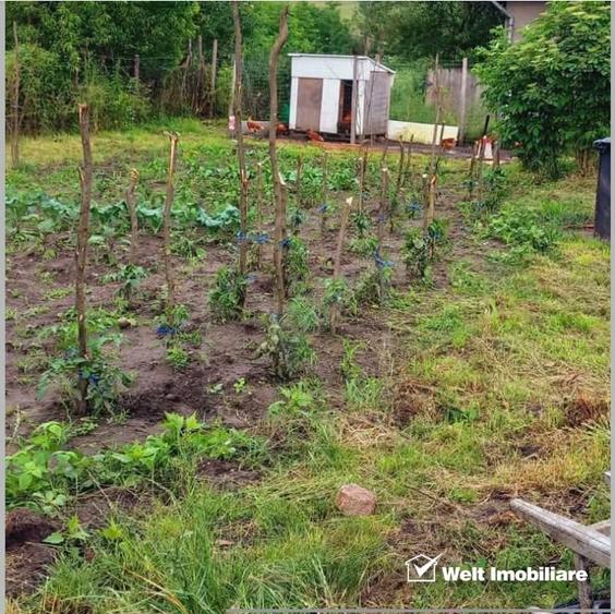 Casă individuală cu 3 camere cu Teren 927 Mp în Așchileu Mare