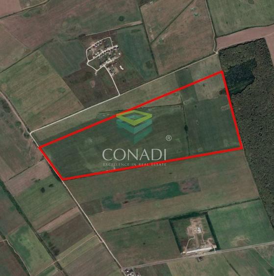 Teren Construcții intravilan de 450000 mp, în Ostratu