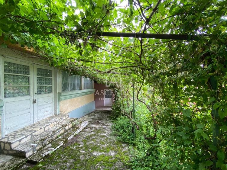 Teren Construcții intravilan de 15900 mp, în Fințești
