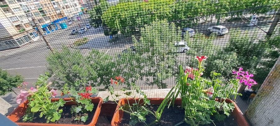 Garsonieră decomandată în Dunărea