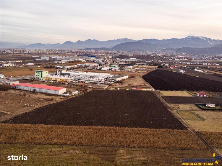 Teren de 5000 mp, în Stupini