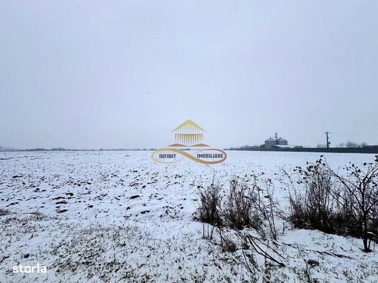 Teren de 4579 mp, în Săucești