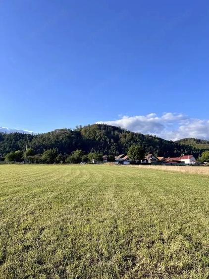 Teren de 650 mp, în Central