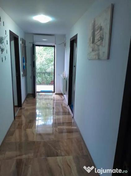 Vila P+1 de 260 mp in Dragane?ti-Olt ideala pentru - 4