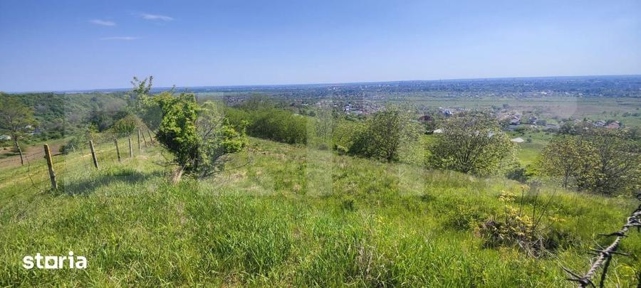 Teren Panoramic 15.500 mp Investitie sau Dezvoltare, Zona Aleea Ma - 6