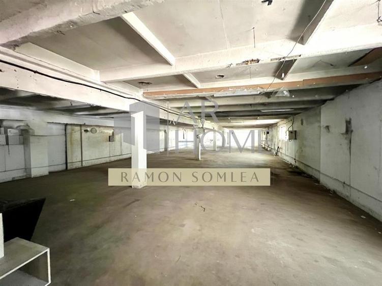 Spațiu industrial, de 1,989 mp, în Păulești