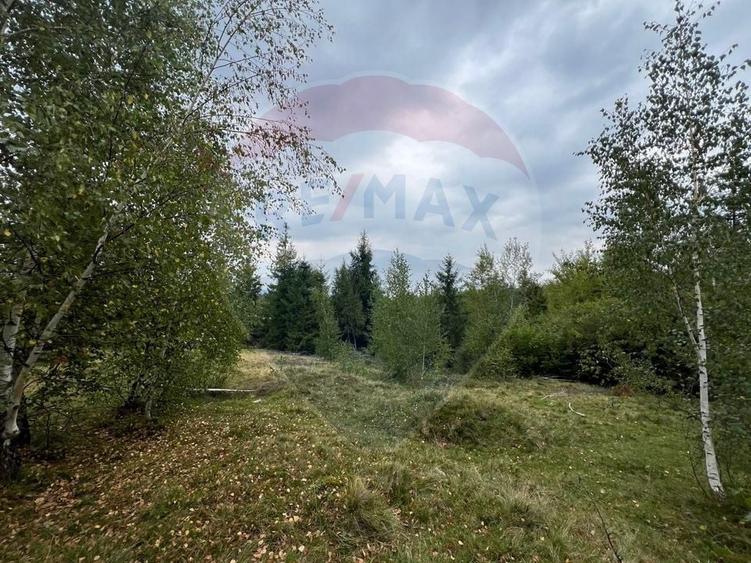 Teren agricol extravilan de 68607 mp, în Călățele