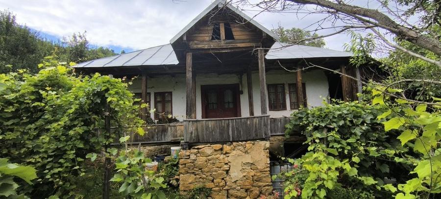 Casă cu 2 camere în Salcia
