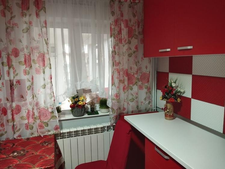 BREBU!!! Vand casa intr-un loc minunat si linistit - 11