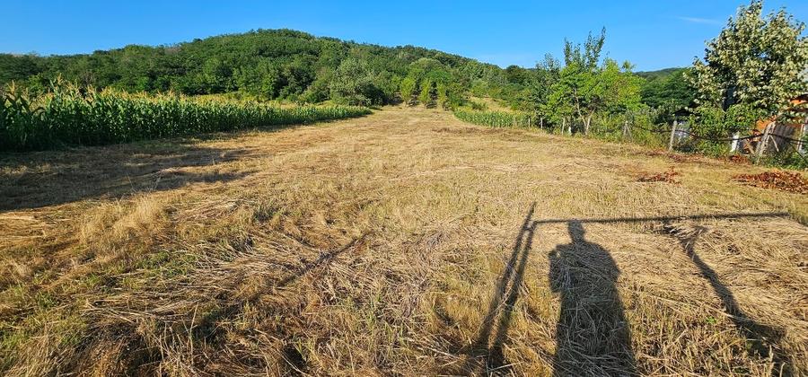 Casă individuală cu 2 camere cu Canalizare în Mitrofani