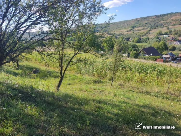 Teren Construcții intravilan de 2976 mp, în Țaga