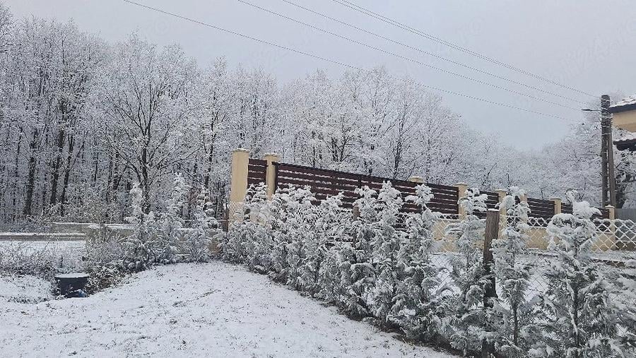 Teren de 5500 mp, în Poiana Tășad