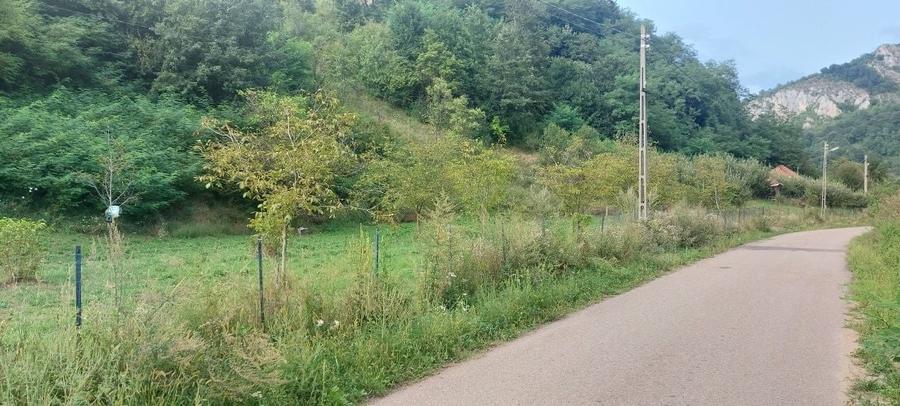Teren de 7000 mp, în Voia
