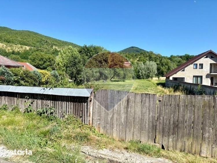 Teren de 3154 mp, în Bârsana