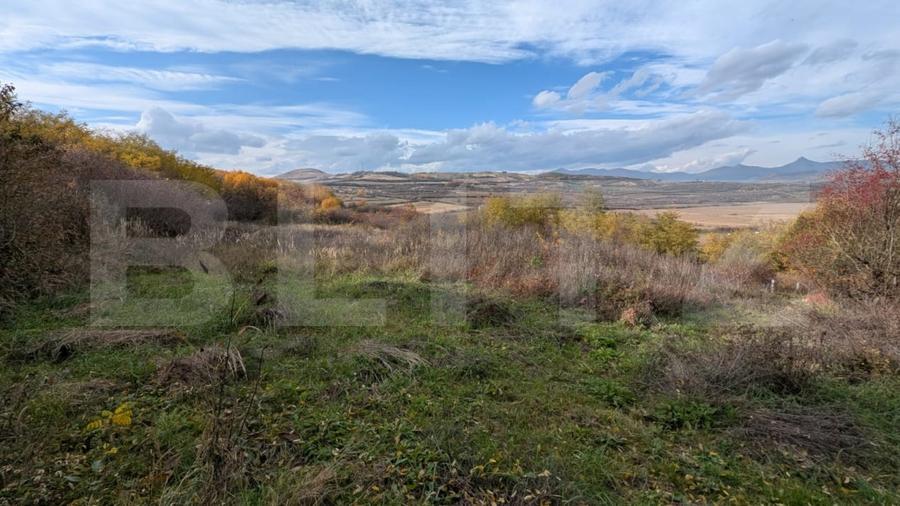 Teren agricol extravilan de 1000 mp, în Șard