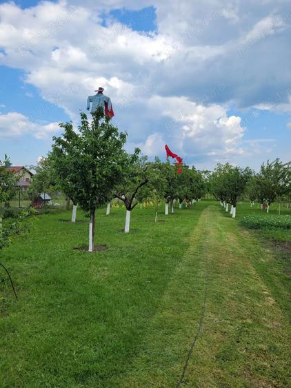 Casă cu 5 camere cu Teren 3750 Mp în Giarmata