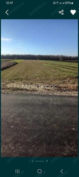 vand teren in Gostilele Calara?i