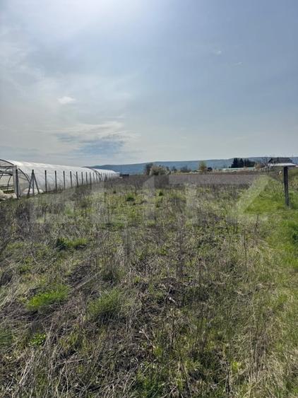 Teren agricol intravilan de 1706 mp, în Sântana de Mureș