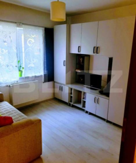 Apartament de inchiriat 4 camere, zona parcul teilor - 9