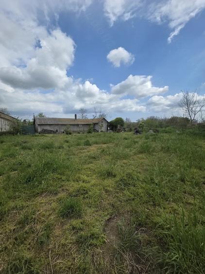 Casă cu 3 camere cu Teren 1243 Mp în Istria