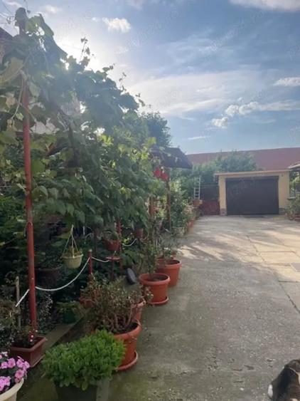 Casă cu 5 camere cu Teren 877 Mp în Lugoj