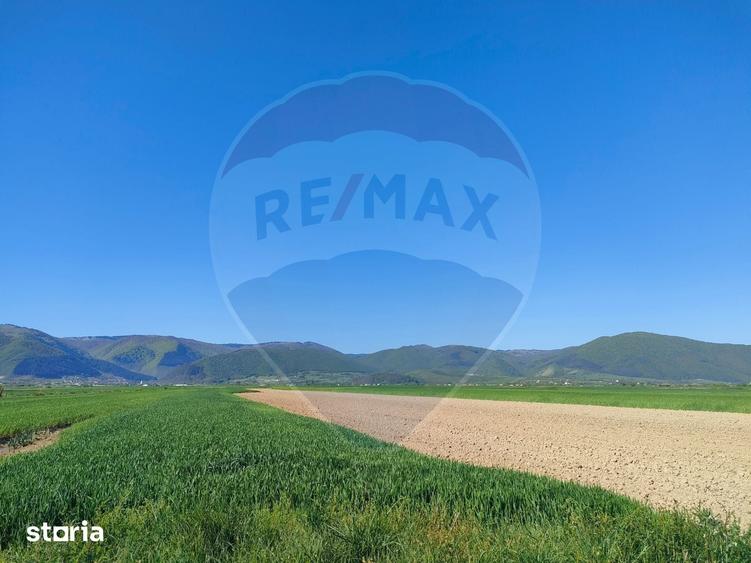 Teren de 1724 mp, în Gura Râului