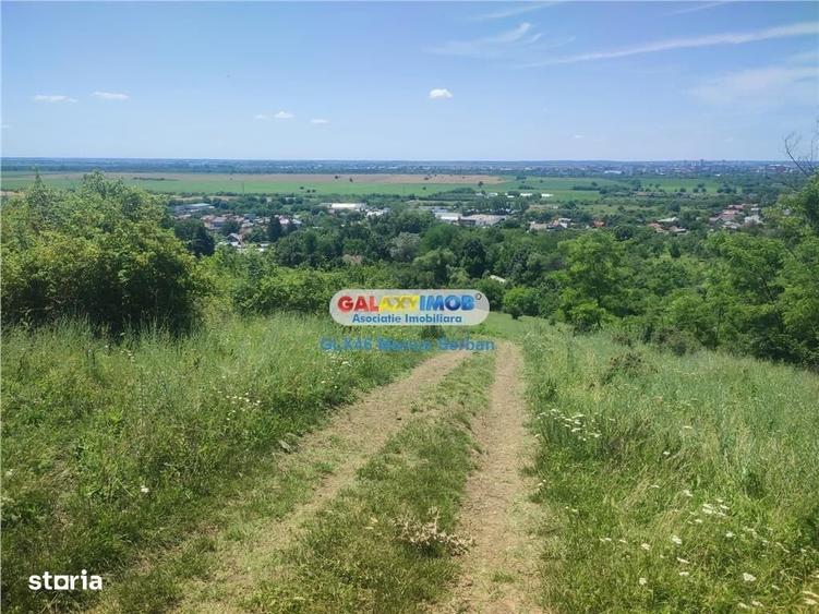 Spațiu comercial, în Răzvad