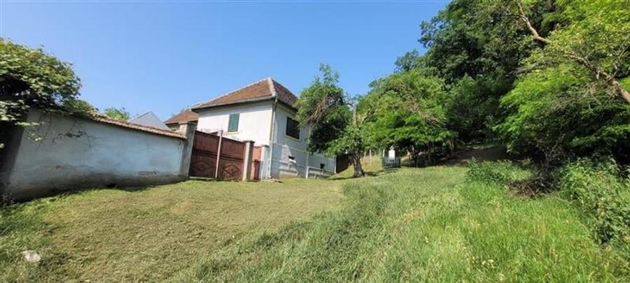 Casă individuală cu 6 camere cu Teren 19300 Mp în Apoldu de Jos