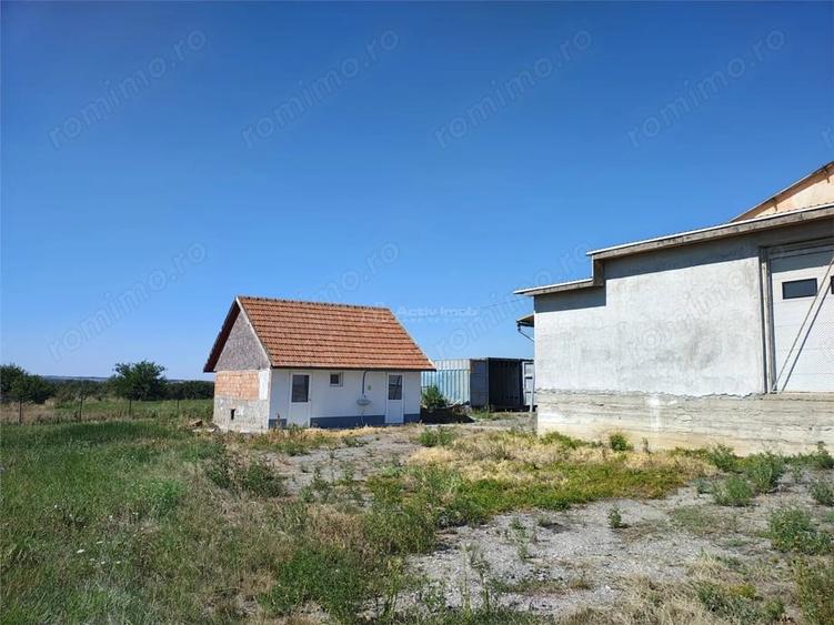 Spațiu comercial, de 972 mp, în Mișca