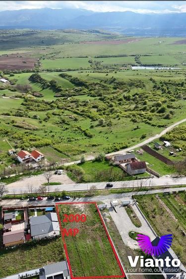 Teren Construcții intravilan de 2000 mp, în Daia